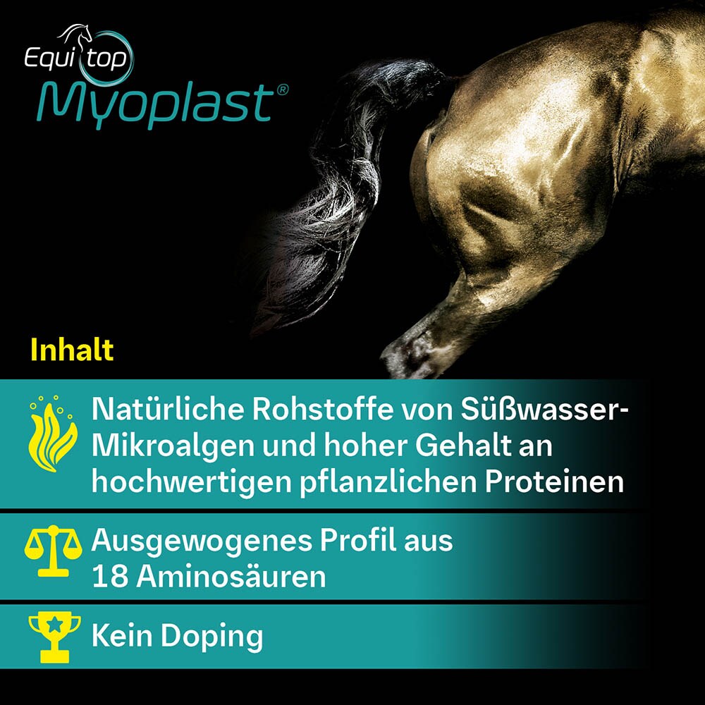 Boehringer Ingelheim Equitop Myoplast Granulat_4
