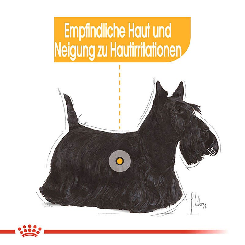 Royal Canin Dermacomfort Mini Trockenfutter für kleine Hunde mit empfindlicher Haut_2