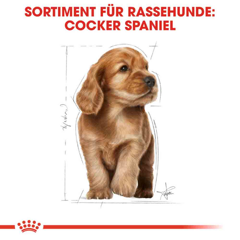 Royal Canin Cocker Puppy Welpenfutter trocken_5