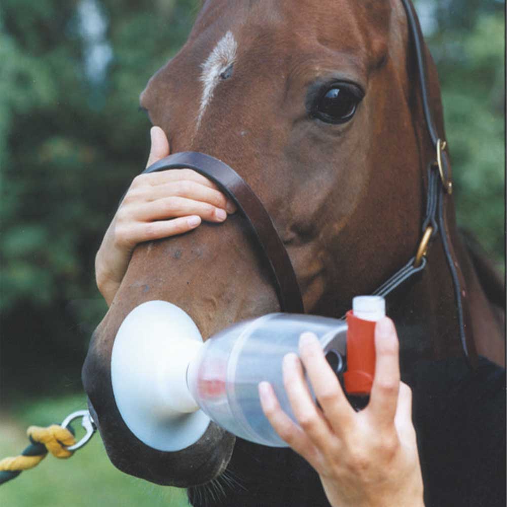WDT Equine Haler Puff-Inhaliergerät_0