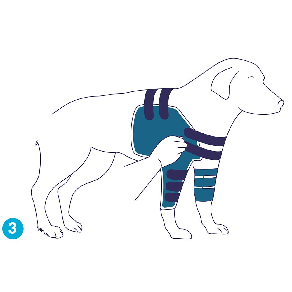 Balto Rehab-Orthese BT Lux_3