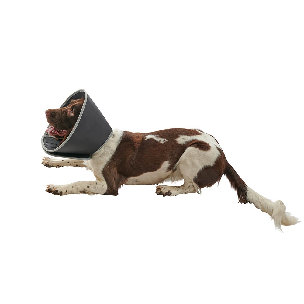 Kruuse Buster Foam Kragen_2