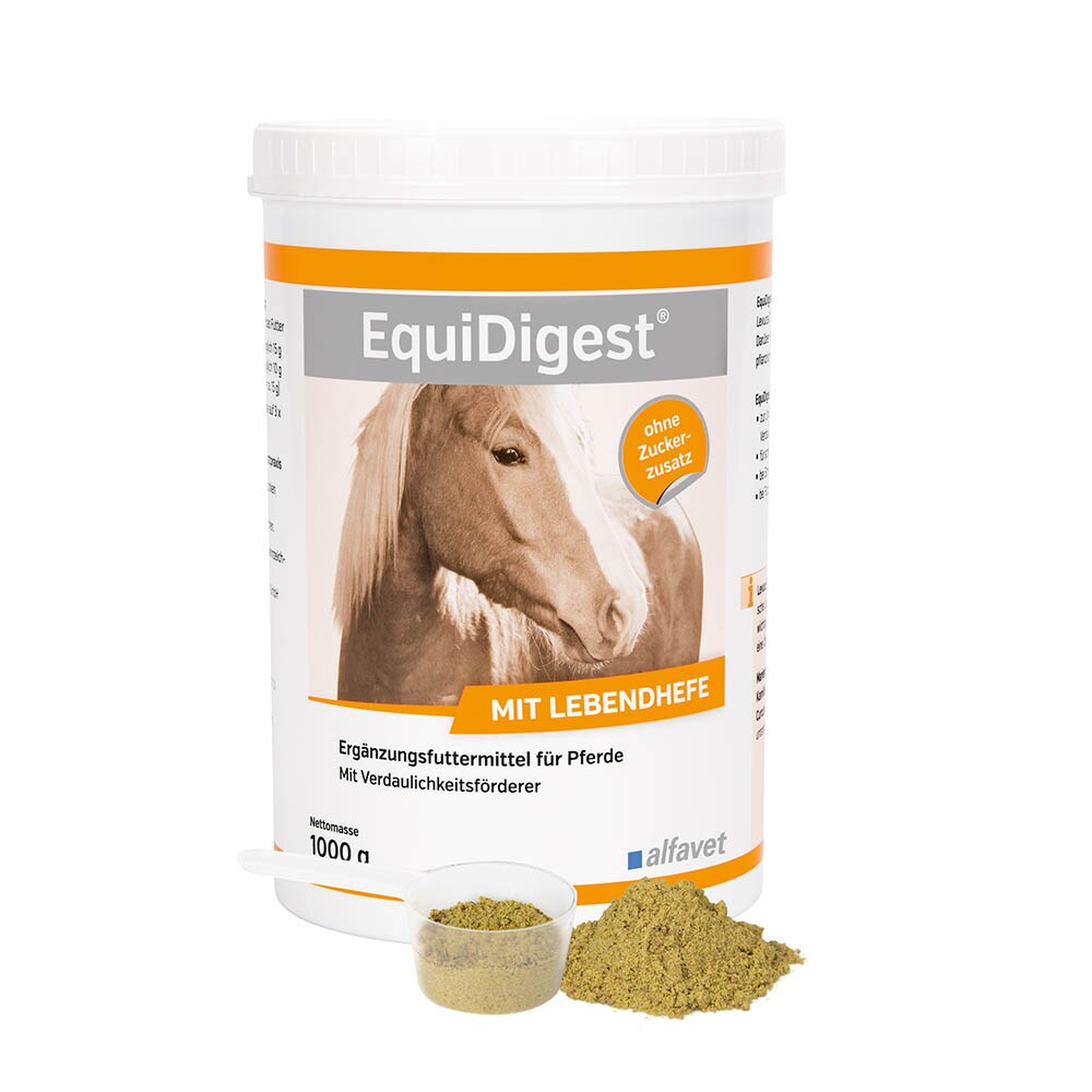 Alfavet EquiDigest_0