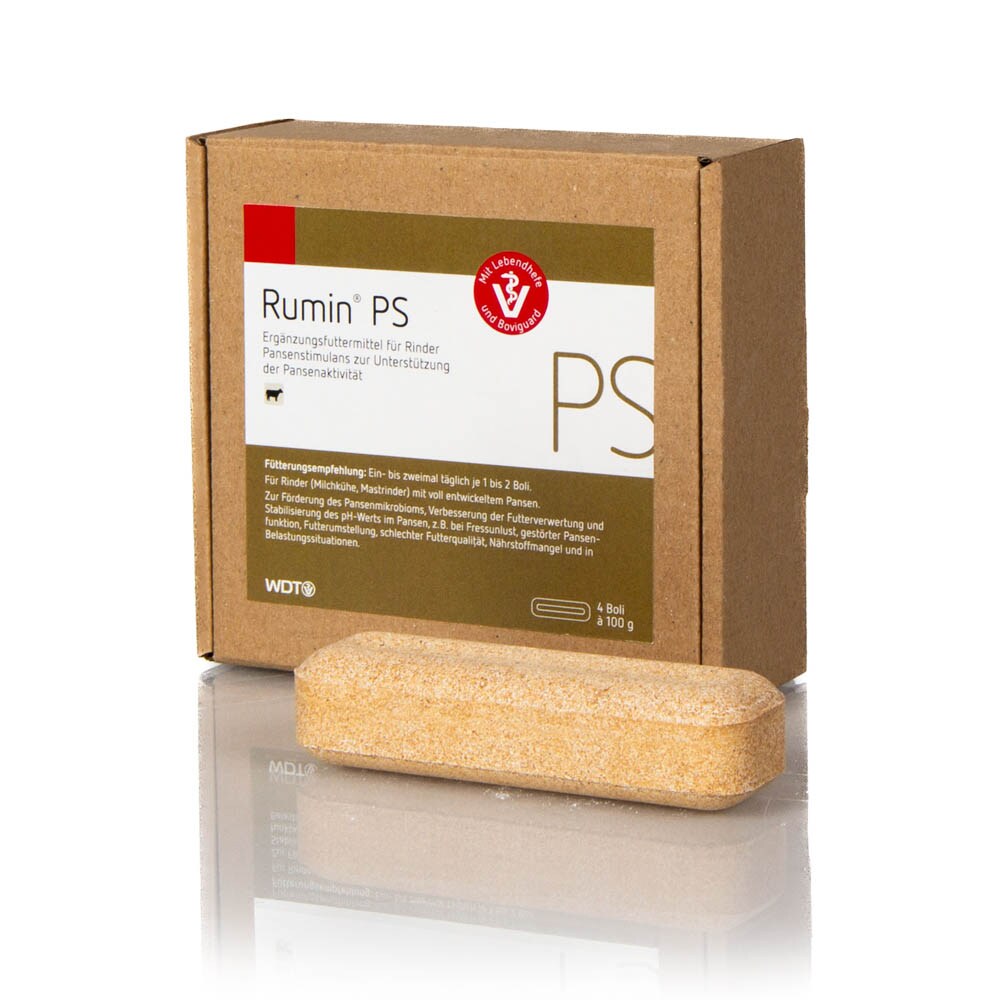 WDT Rumin PS_0