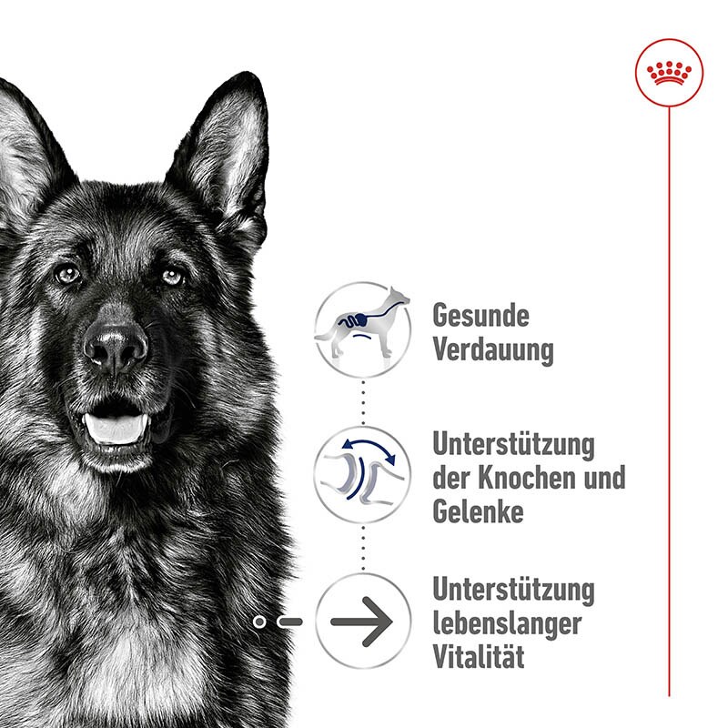 Royal Canin Maxi Ageing 8+ Trockenfutter für ältere große Hunde_1