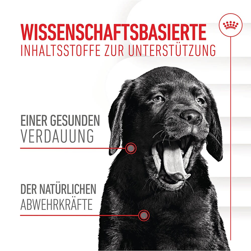 Royal Canin Immunity & Digestion Chews Puppy Supplements_3