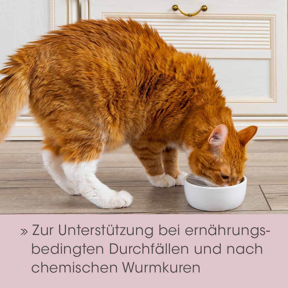 cdVet feliTATZ DarmRegulanz_2