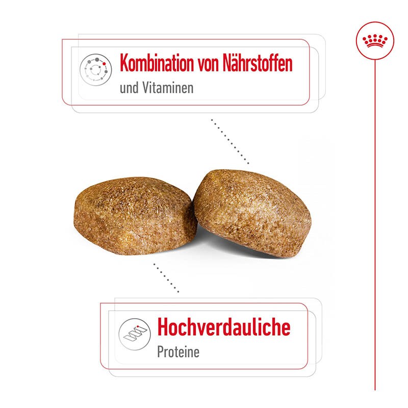 Royal Canin Giant Adult Trockenfutter für sehr große Hunde_3