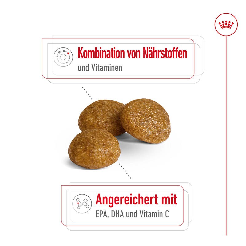 Royal Canin X-Small Adult 8+ Trockenfutter für ältere sehr kleine Hunde_1