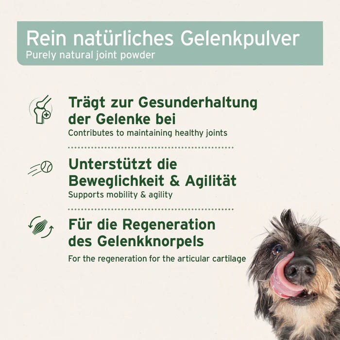 AniForte Grünlippmuschel Pulver_6
