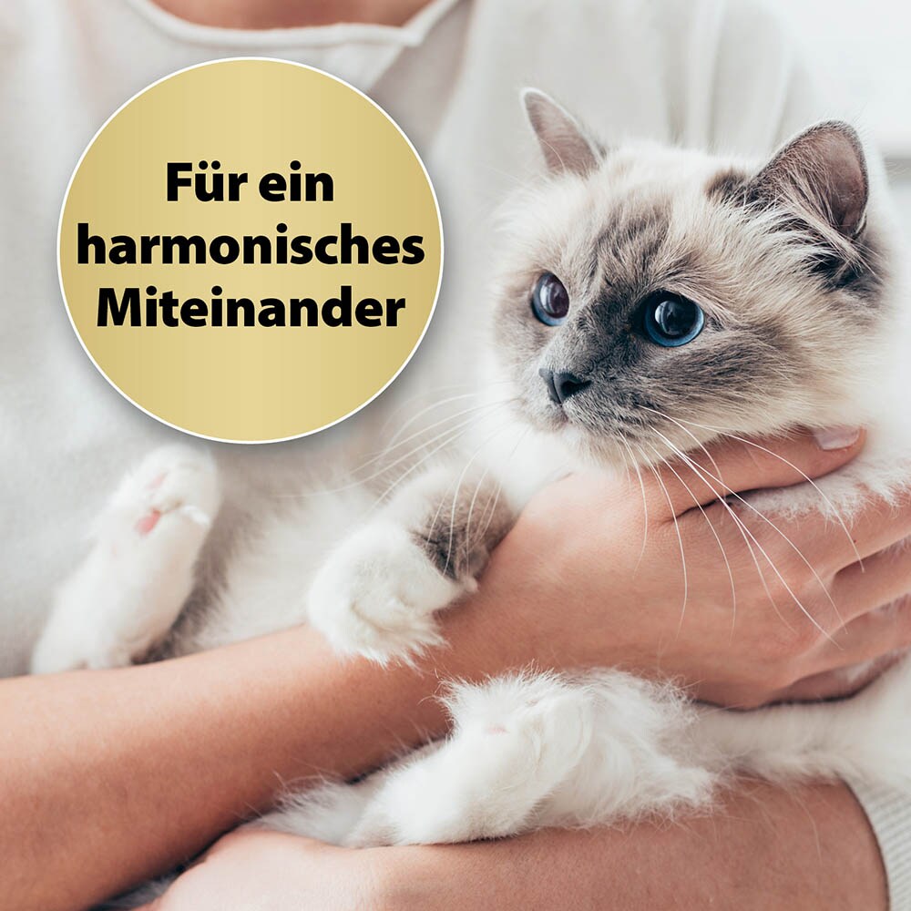 Felisept Home Comfort Beruhigungshalsband für Katzen_4