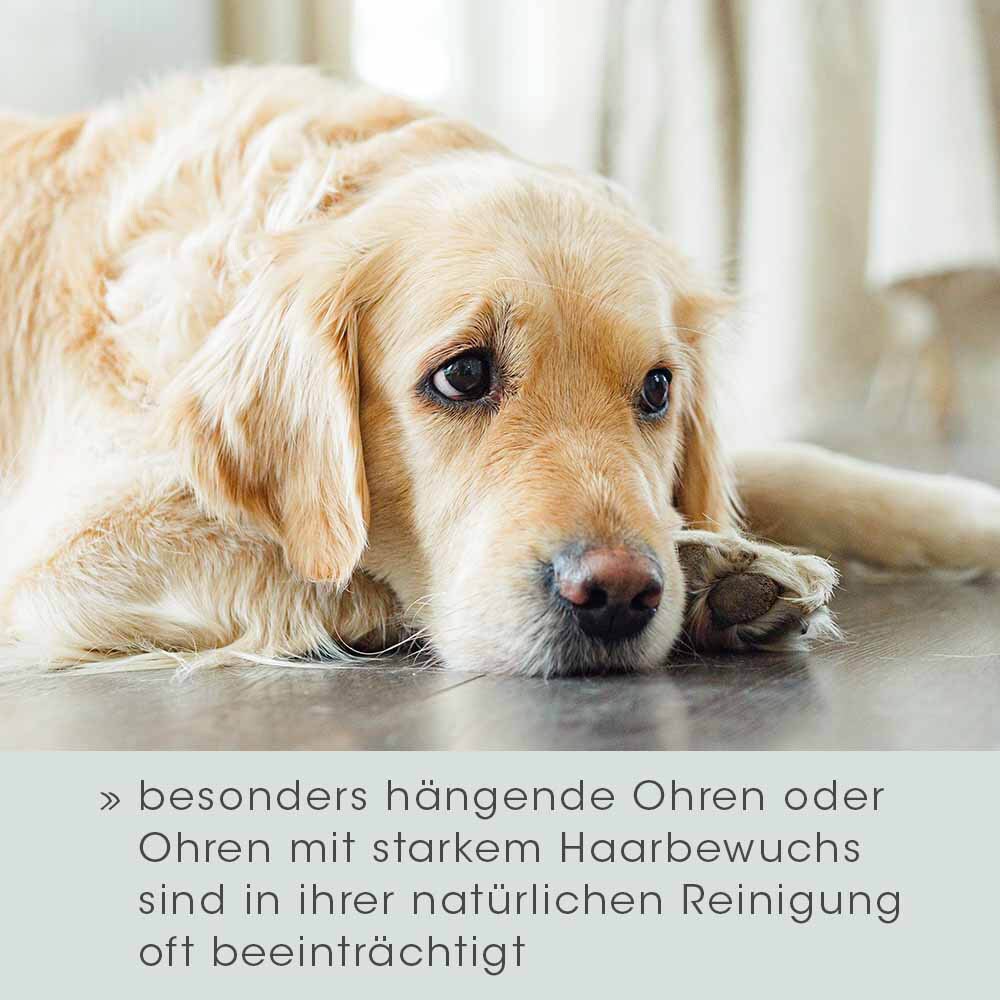 cdVet VeaVet Ohrenpflege mild_6