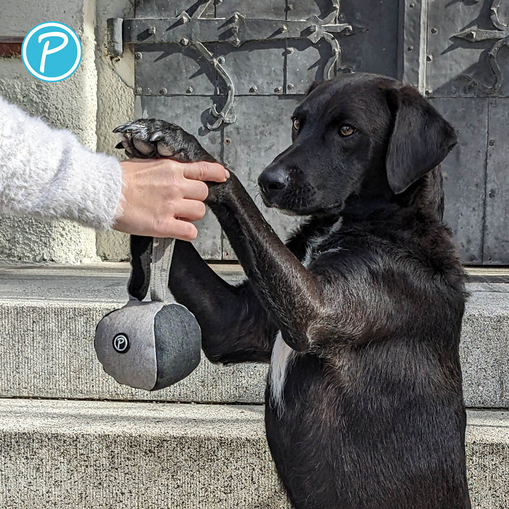Petlando Everest Wurfball grau_2