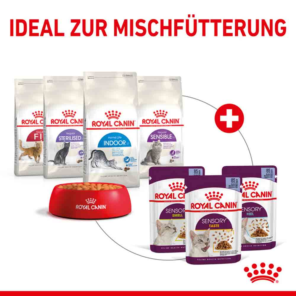 Royal Canin Sensory Smell Smell Nassfutter in Gelee für wählerische Katzen_5