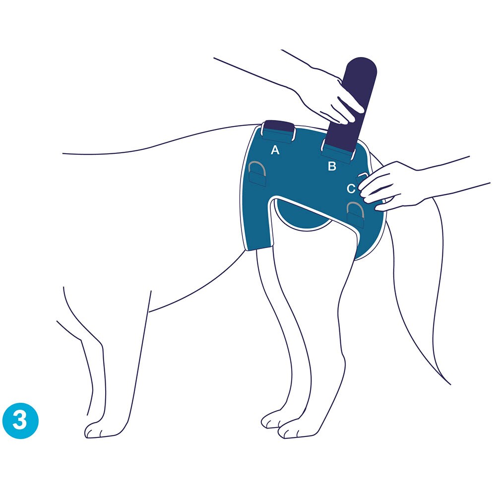 Balto Rehab BT Life_4