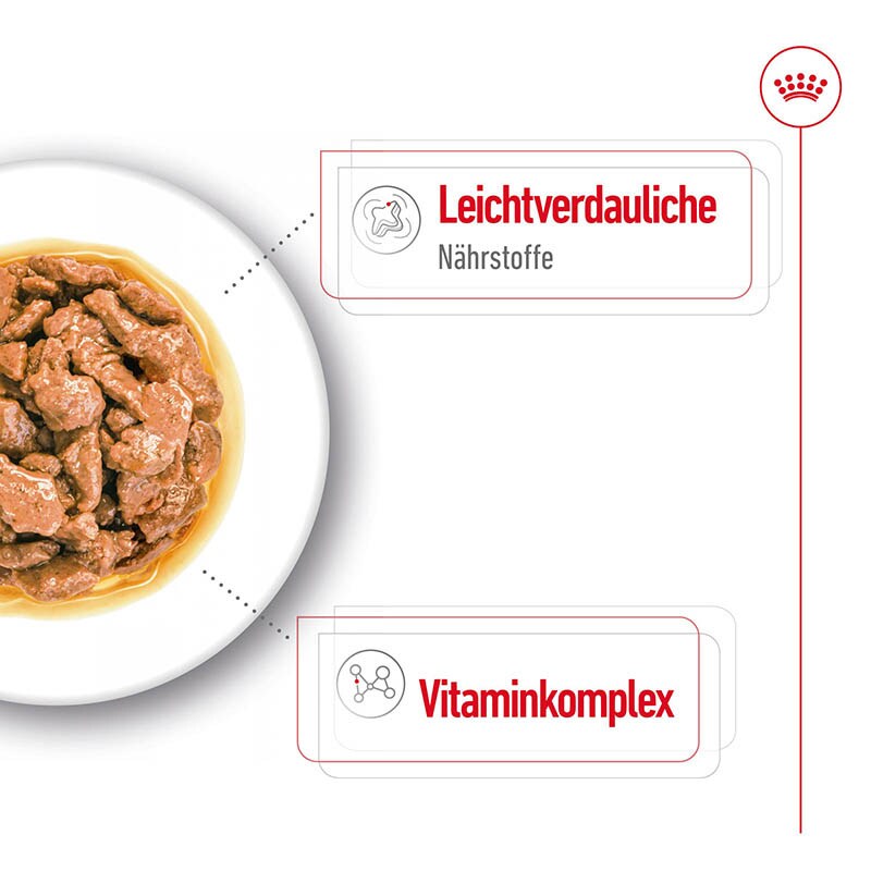 Royal Canin Mini Adult Feuchtnahrung als Häppchen in Soße (>10. Lebensmonat)_2