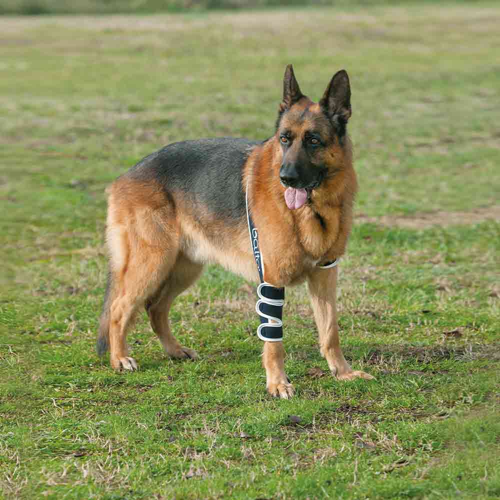 Balto Rehab Orthese BT Soft Rechts_1