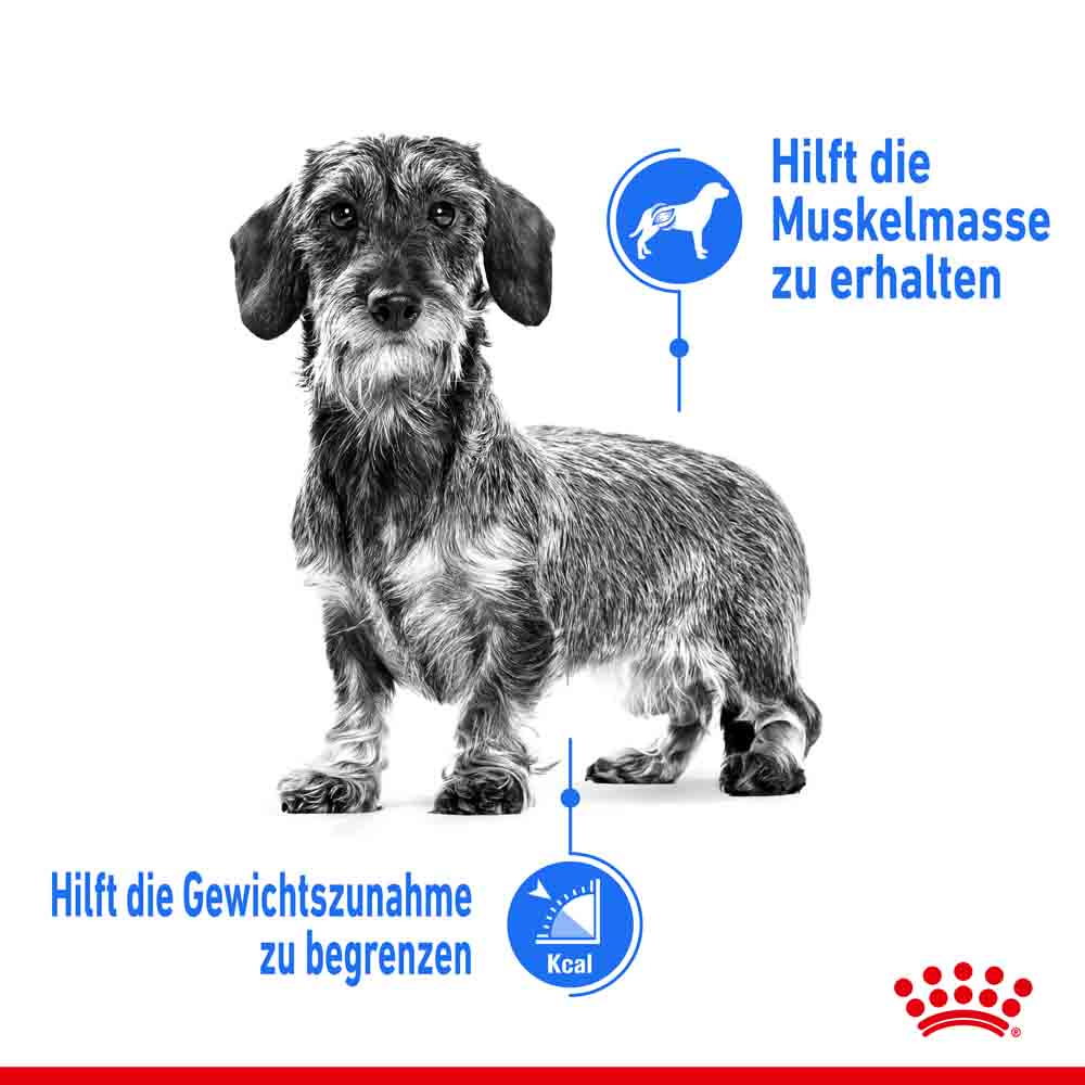 Royal Canin light weight care mini Trockenfutter für zu Übergewicht neigenden Hunden_2