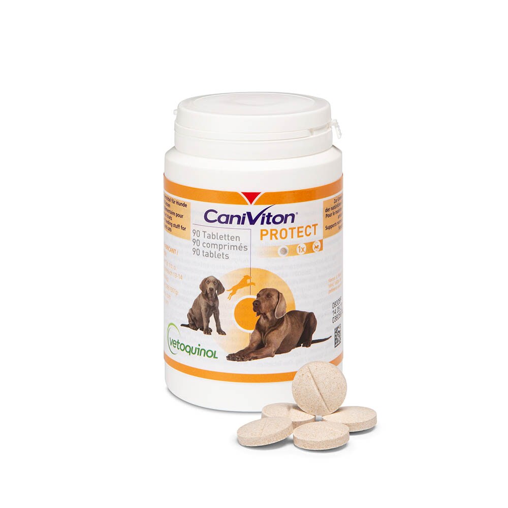 Vetoquinol Caniviton protect_0