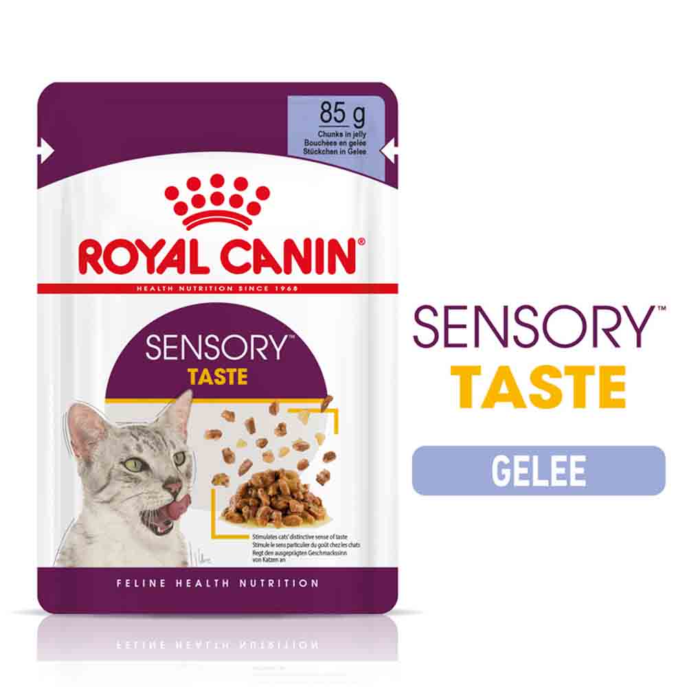 Royal Canin Sensory Taste Nassfutter in Gelee für wählerische Katzen_0