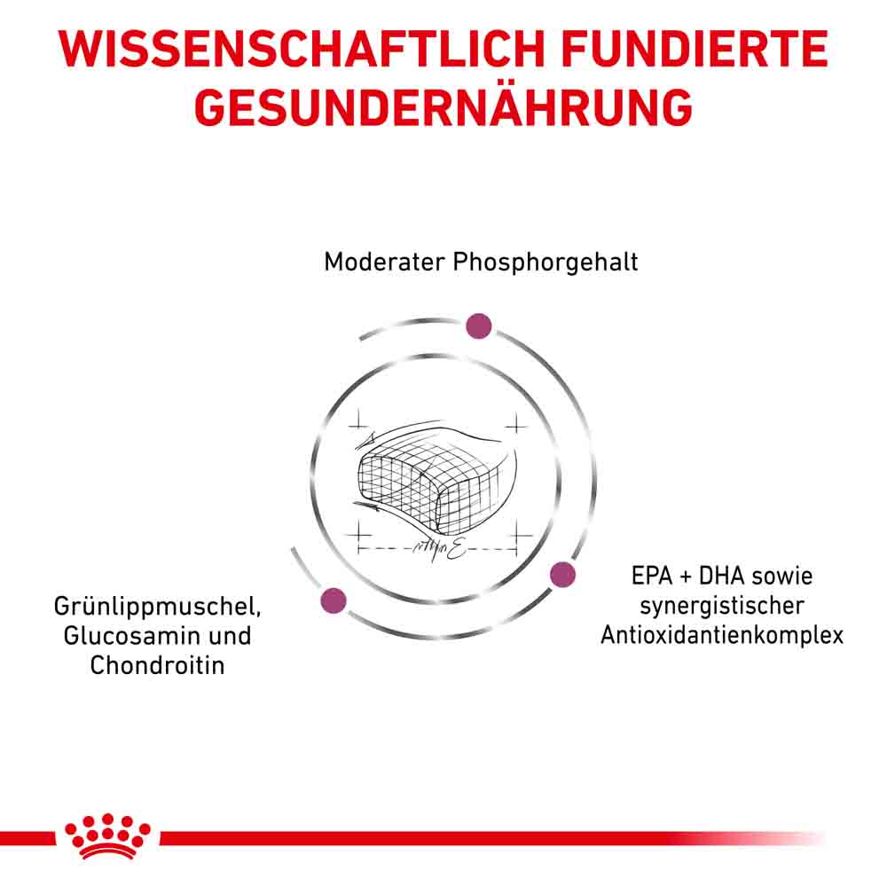 Royal Canin Veterinary Early Renal Trockenfutter für Katzen_2