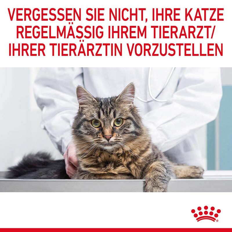 Royal Canin Hairball Care Katzennahrung trocken gegen Haarballenbildung_7