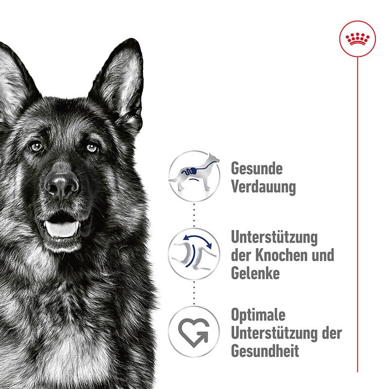Royal Canin Maxi Adult Feuchtnahrung als Mousse (>15. Lebensmonat)_1