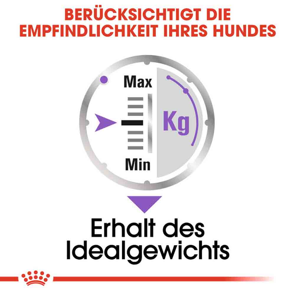 Royal Canin Sterilised Nassfutter für kastrierte Hunde_3