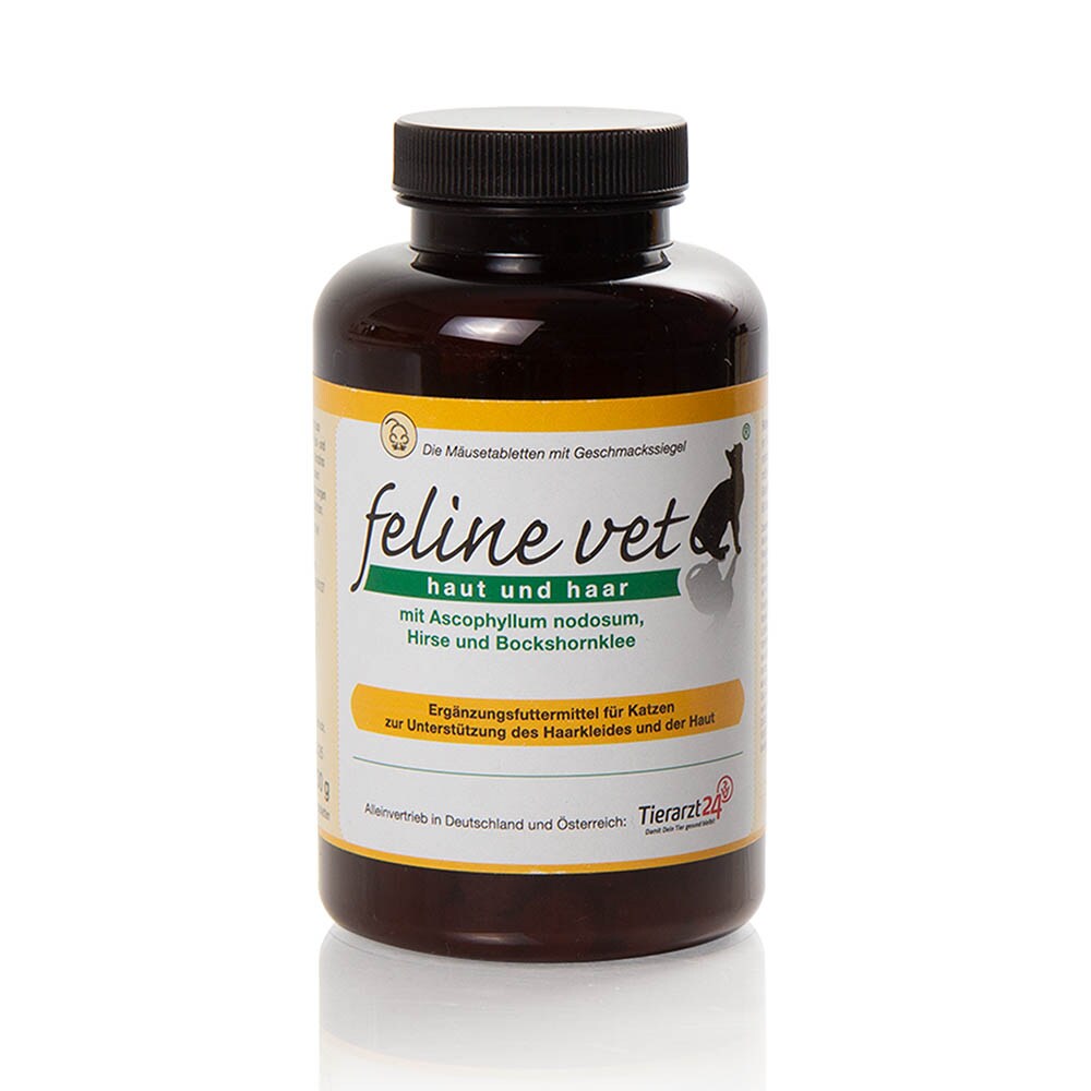 Feline Vet Haut und Haar_1