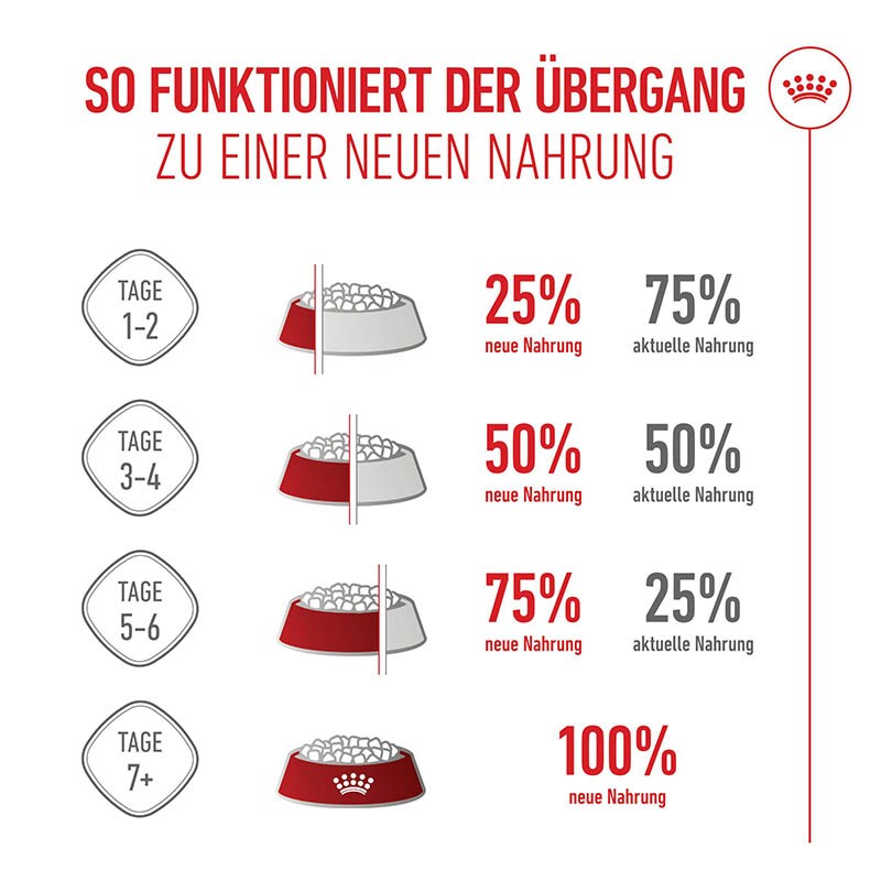 Royal Canin Kitten Sterilised Kittenfutter für kastrierte Kätzchen vom 6. - 12. Monat_6