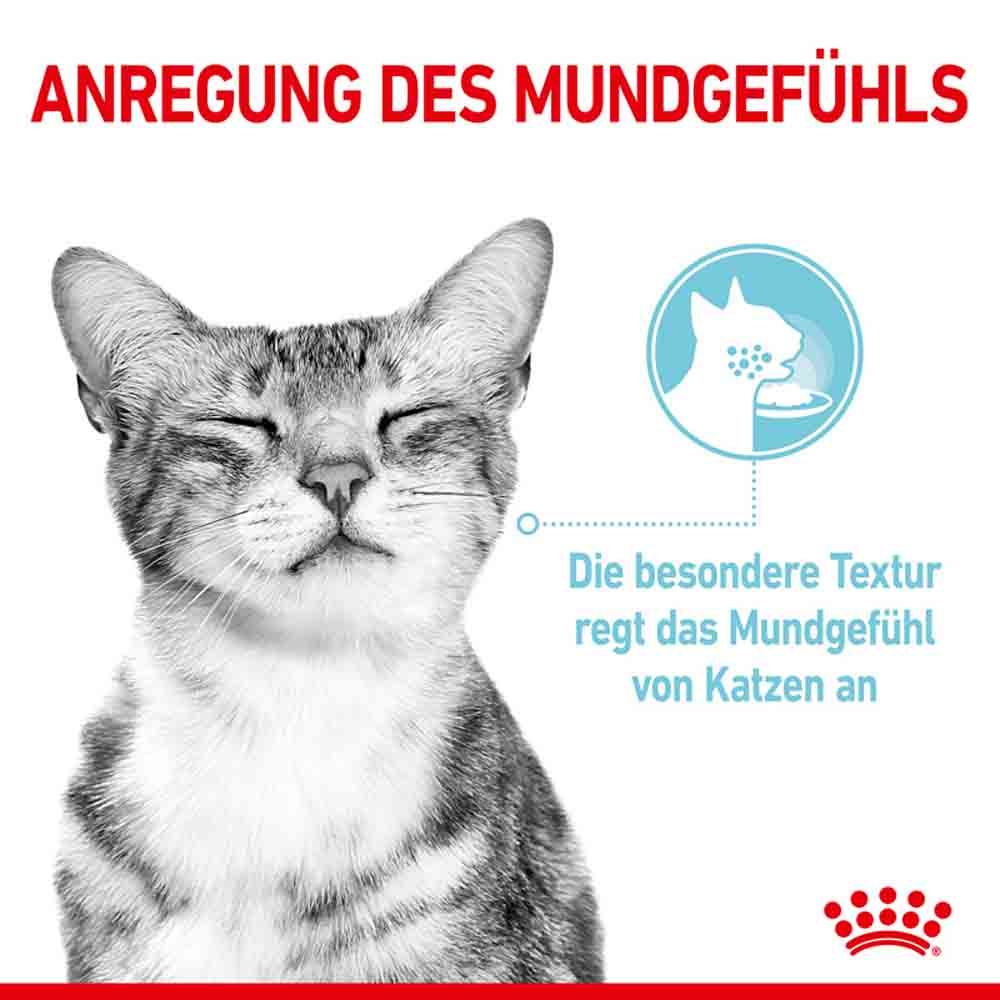 Royal Canin Sensory Feel Nassfutter in Gelee für wählerische Katzen_2