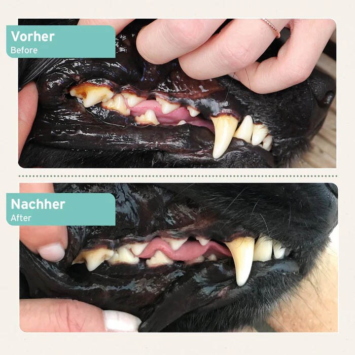 AniForte Denta Clean & Care Pulver_2