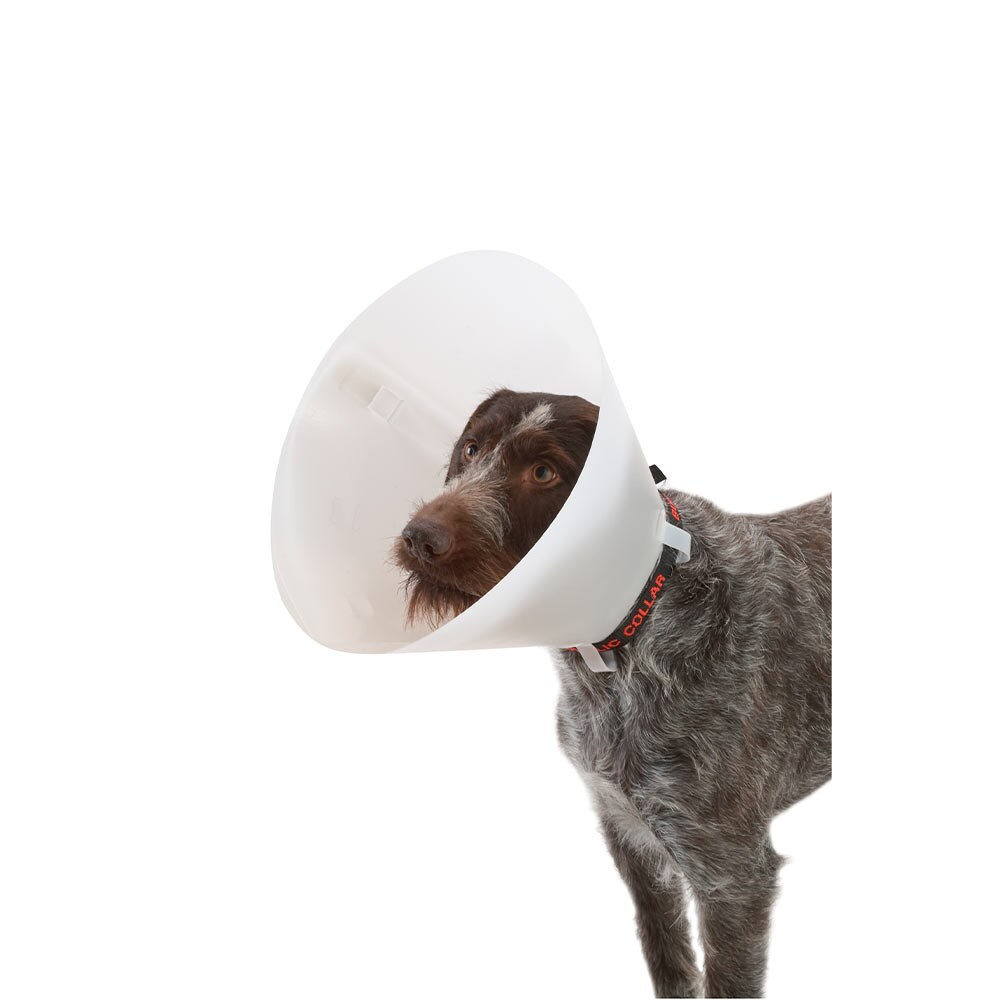 Halskragen Classic Buster_0