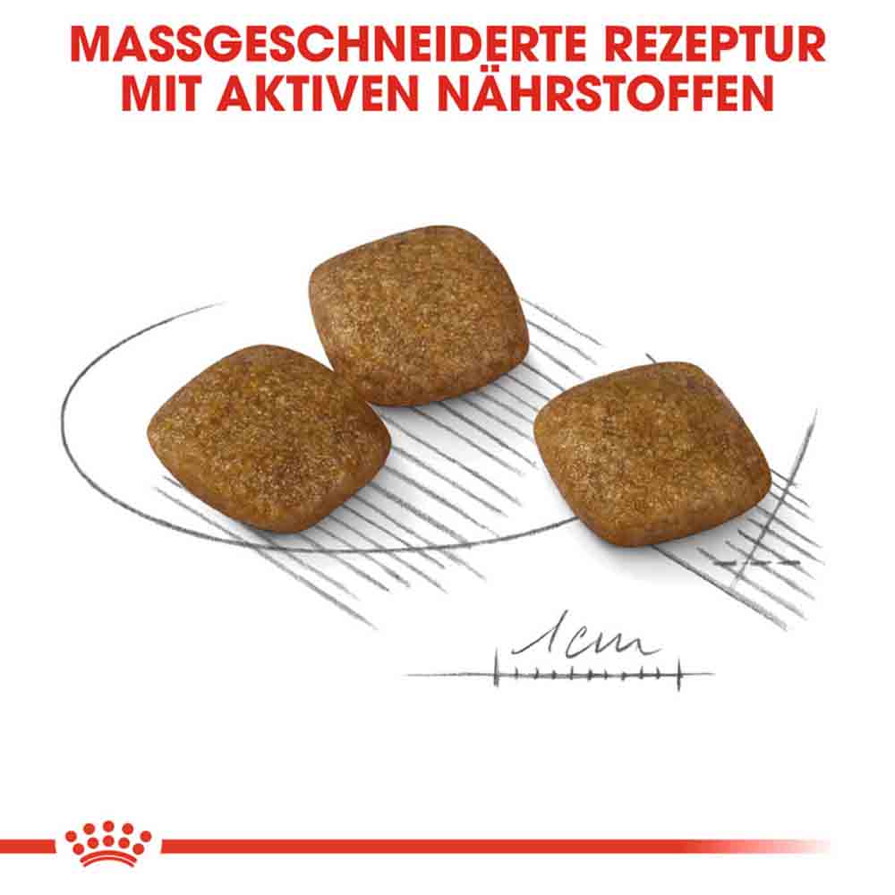 Royal Canin Relax Care Mini Trockenfutter für kleine Hunde in unruhigem Umfeld_4