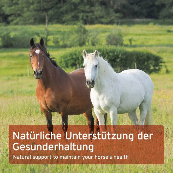 AniForte Bio Hagebutten - Ganze Früchte _5