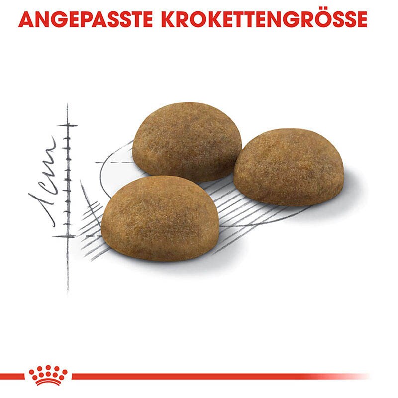 Royal Canin Indoor Longhair Trockenfutter für Wohnungskatzen mit langem Fell_3