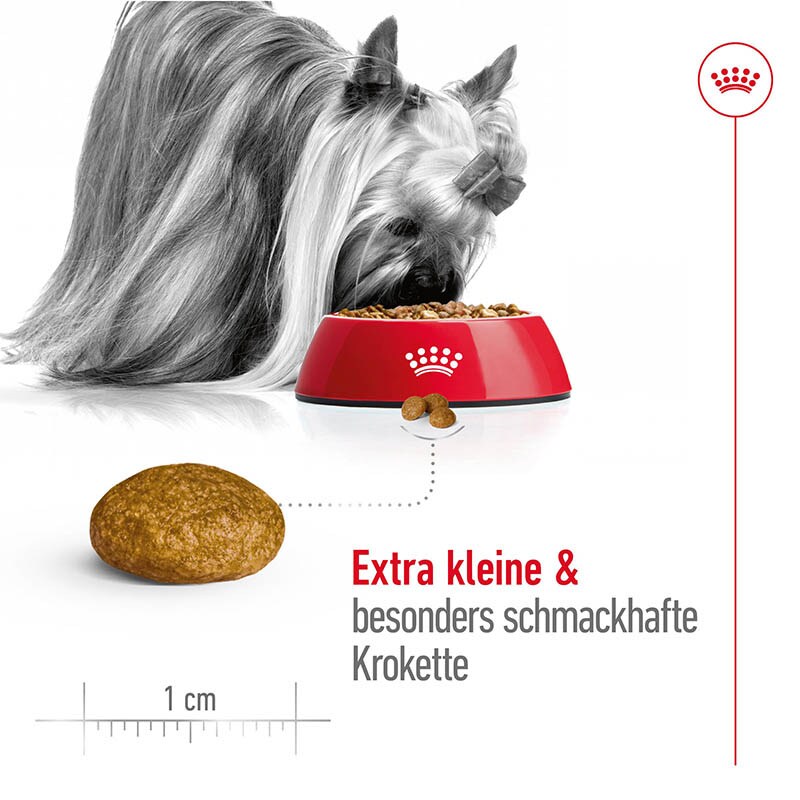 Royal Canin X-Small Adult Trockenfutter für sehr kleine Hunde_3
