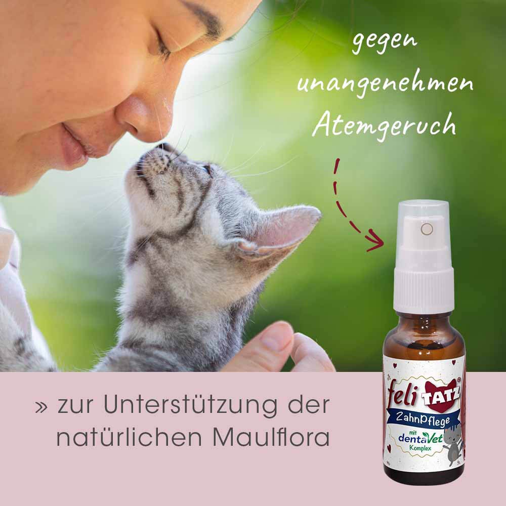 cdVet feliTATZ ZahnPflege_6