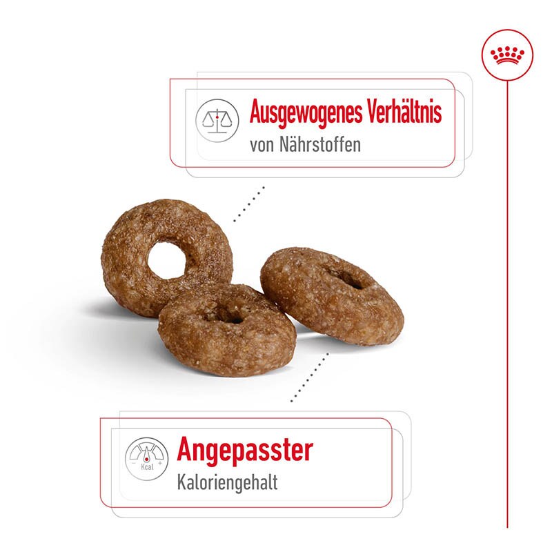 Royal Canin Mini Ageing 12+ Trockenfutter für ältere kleine Hunde_2