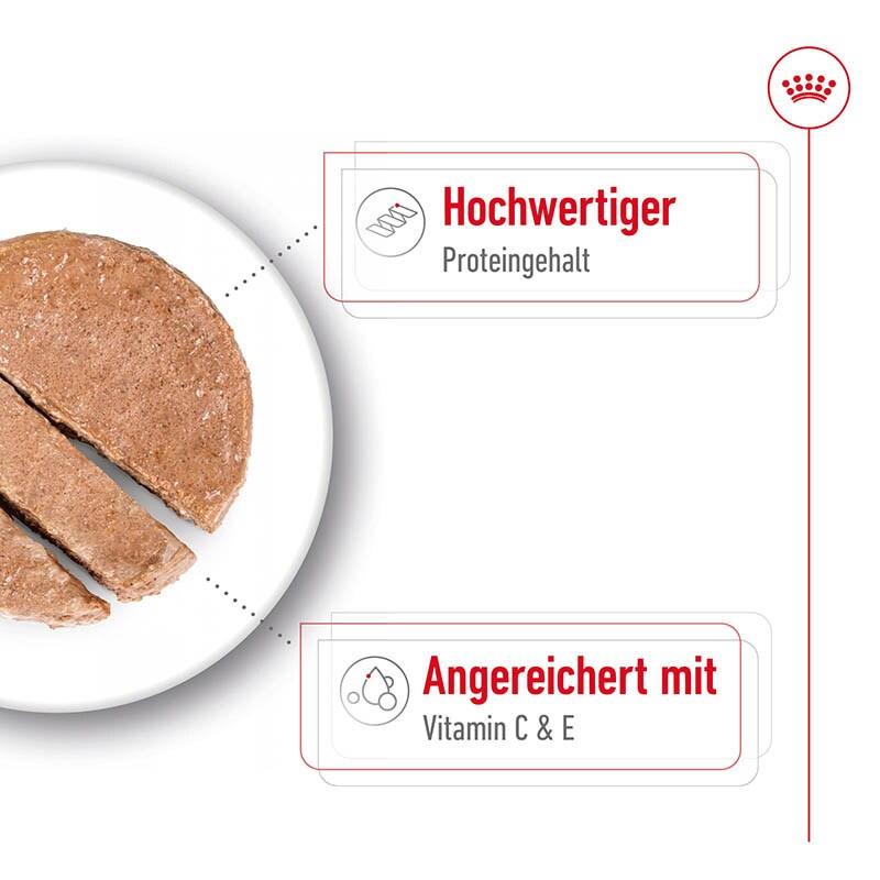 Royal Canin Medium Adult  Feuchtnahrung als Mousse (>12. Lebensmonat)_2