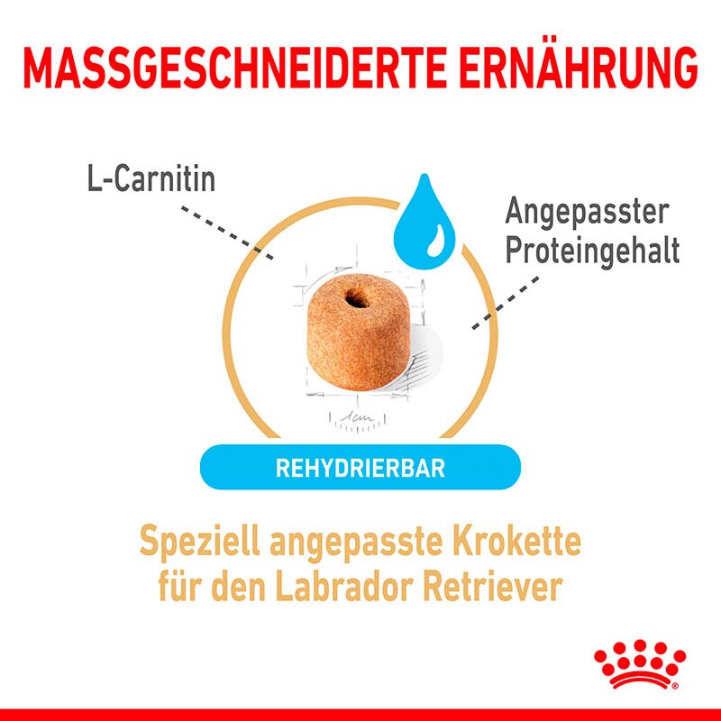 Royal Canin Labrador Retriever Adult 5+ Trockenfutter für Hunde ab 5 Jahren_3