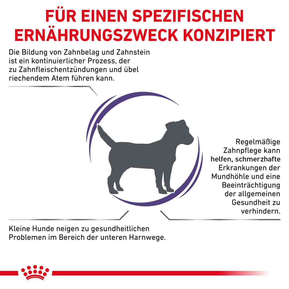 Royal Canin Expert Dental Small Dogs Trockenfutter für Hunde_3