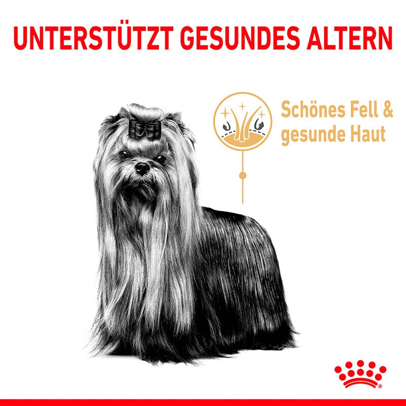 Royal Canin Yorkshire Terrier 8+ Trockenfutter für ältere Hunde_2