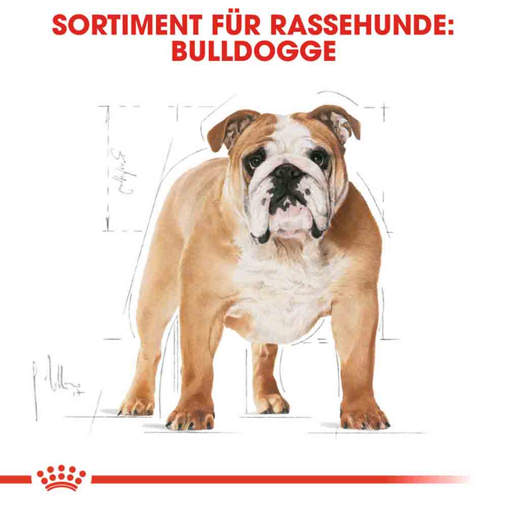 Royal Canin Bulldog Adult Hundefutter trocken_2