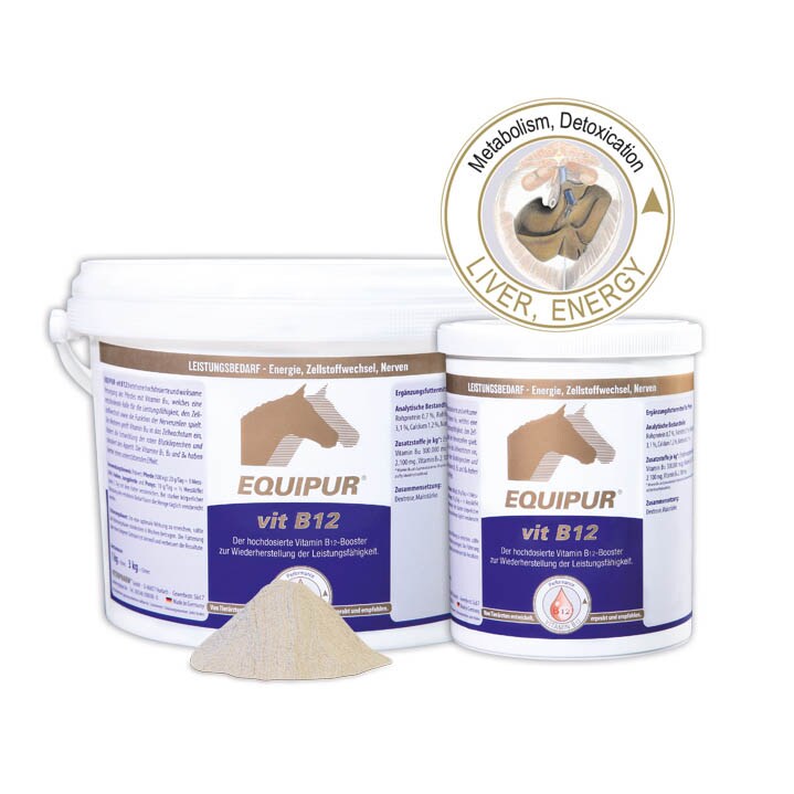Equipur vit B12_0
