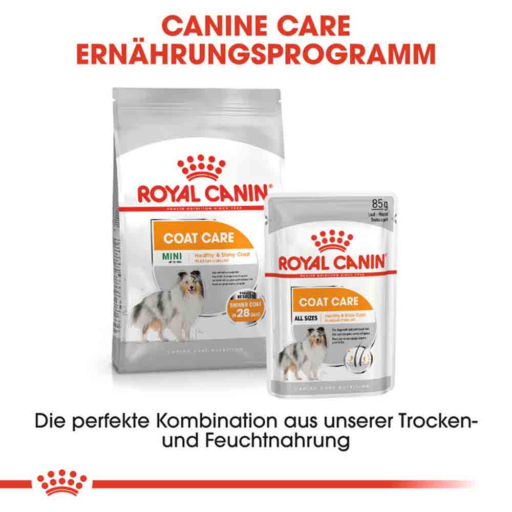 Royal Canin Coat Care Mini Trockenfutter für kleine Hunde für glänzendes Fell_6