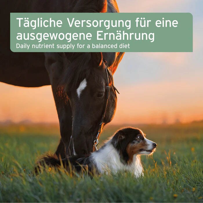 AniForte Bio Ägyptisches Schwarzkümmelöl_5