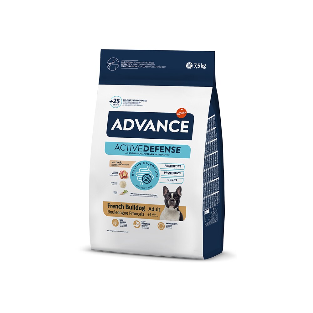 ADVANCE French Bulldog_0