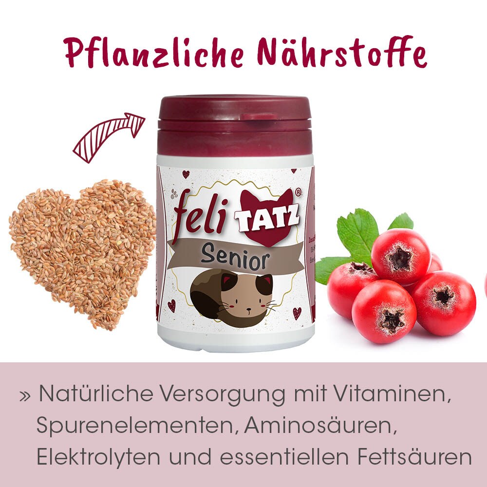 cdVet feliTATZ Senior_4