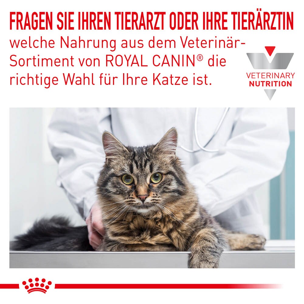 Royal Canin Veterinary Anallergenic Feline_1